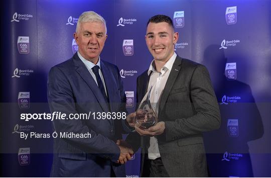 Bord Gáis Energy U-21 Hurling Team of the Year Bord Gáis Energy U-21 Hurling Team of the Year