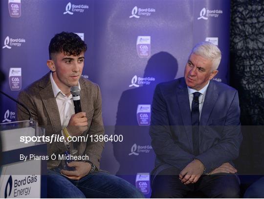 Bord Gáis Energy U-21 Hurling Team of the Year Bord Gáis Energy U-21 Hurling Team of the Year
