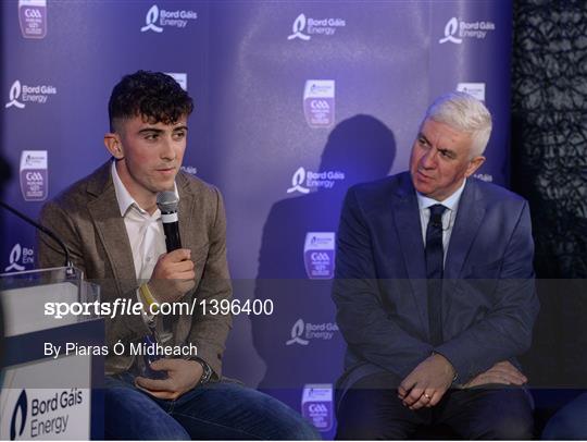 Bord Gáis Energy U-21 Hurling Team of the Year