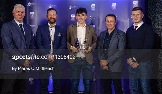 Bord Gáis Energy U-21 Hurling Team of the Year Bord Gáis Energy U-21 Hurling Team of the Year