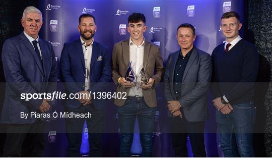 Bord Gáis Energy U-21 Hurling Team of the Year