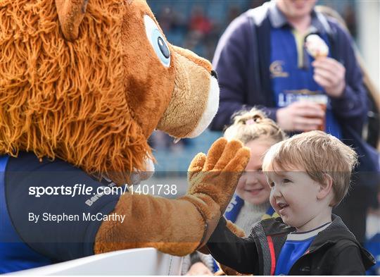 Fans at Leinster v Montpellier - European Rugby Champions Cup Pool 3 Round 1