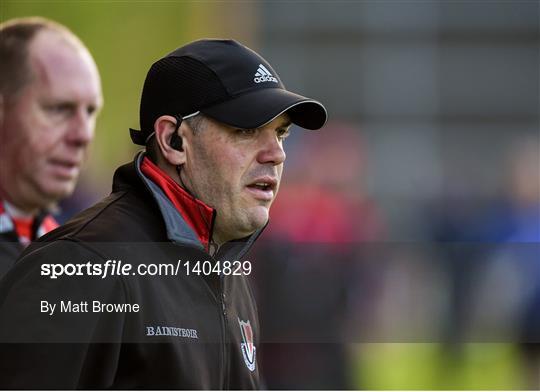 Oulart-The Ballagh v St Martin's GAA Club - Wexford County Senior Hurling Championship Final