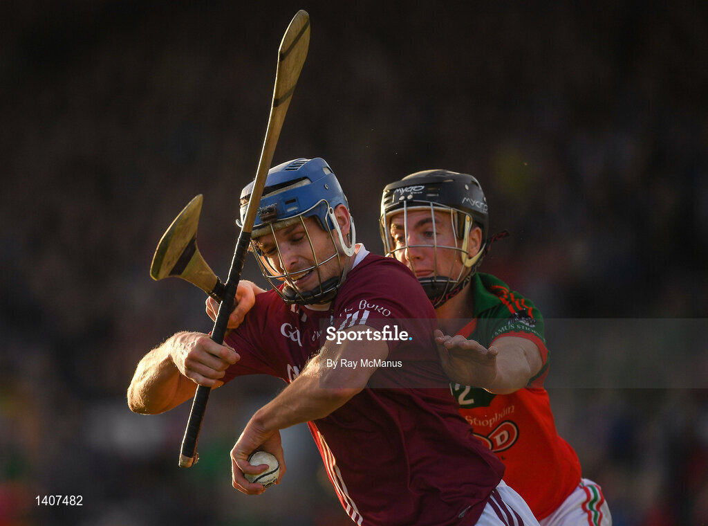 Dicksboro v James Stephens - Kilkenny County Senior Hurling Championship Final