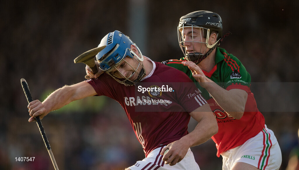 Dicksboro v James Stephens - Kilkenny County Senior Hurling Championship Final