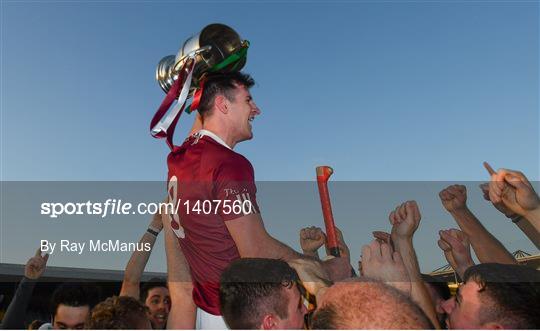 Dicksboro v James Stephens - Kilkenny County Senior Hurling Championship Final