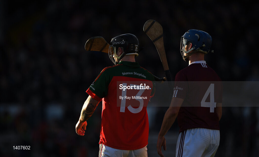 Dicksboro v James Stephens - Kilkenny County Senior Hurling Championship Final