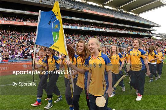 Sportsfile Parade Of U14 Development Squads At Cork V Wexford All Ireland Senior Camogie Championship Final Photos Page 1 Sportsfile Parade Of U14 Development Squads At Cork V Wexford All Ireland Senior Camogie Championship Final Photos Page 1