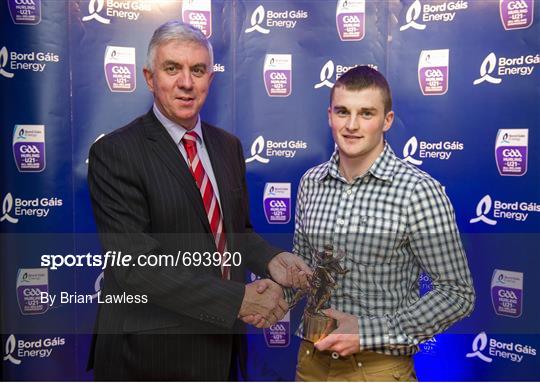 2012 Bord Gáis Energy Breaking Through Player of the Year