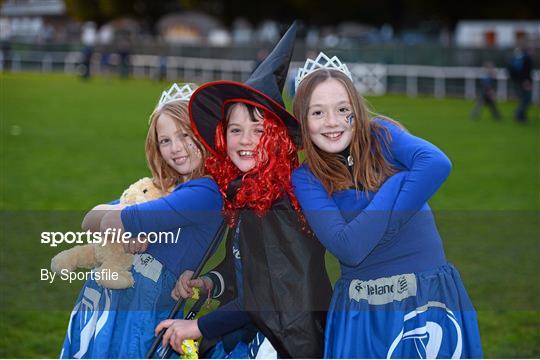 Leinster Fans at Leinster v Cardiff Blues - Celtic League 2012/13 Round 7