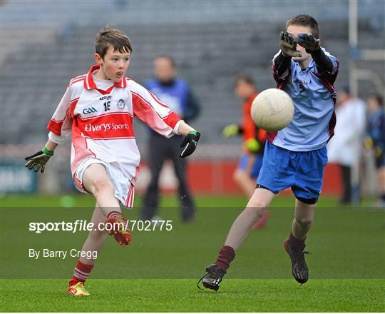 Allianz Cumann na mBunscol Finals - Monday 26th November 2012