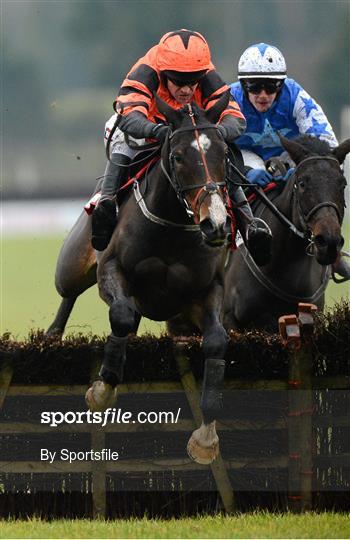 Horse Racing from Fairyhouse - Sunday 2nd December