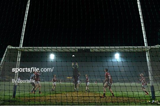 Laois v Westmeath - Bórd na Móna O'Byrne Cup Group C
