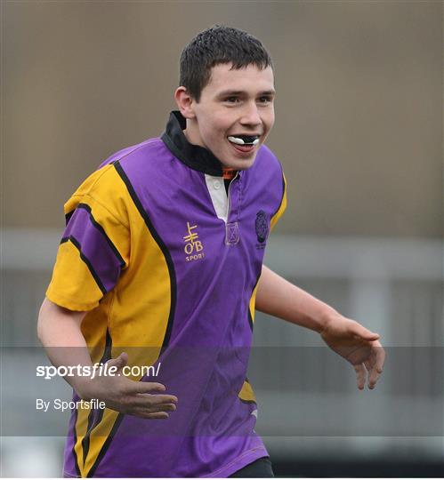 CBS Wexford v Ratoath C.C. - Senior Development Cup Final