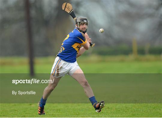 Tipperary v Offaly - Inter-County Challenge Match
