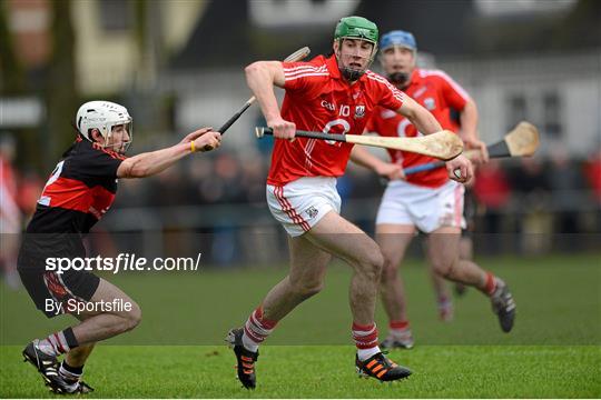 Cork v University College Cork - Waterford Crystal Cup Senior Hurling Preliminary Round