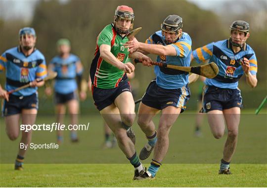 University College Dublin v Limerick IT - Irish Daily Mail Fitzgibbon Cup Group C Round 1