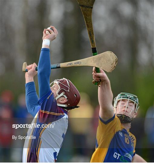 UL v St. Pat's/Mater Dei - Irish Daily Mail Fitzgibbon Cup Group D Round 1