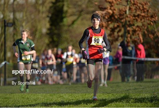 AVIVA Leinster Schools Cross Country Championships 2013