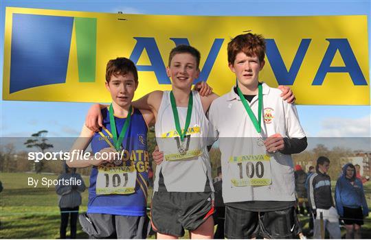 AVIVA Leinster Schools Cross Country Championships 2013