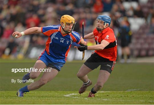 Mary Immaculate College, Limerick v University College Cork - Irish Daily Mail Fitzgibbon Cup Final