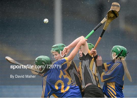 Tipperary v Kilkenny - Irish Daily Star National Camogie League Division 1 Group 1