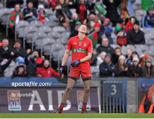 Ballymun Kickhams v St Brigid's - AIB GAA Football All-Ireland Senior Club Championship Final