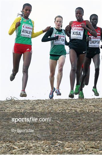 IAAF World Cross Country Championships 2013
