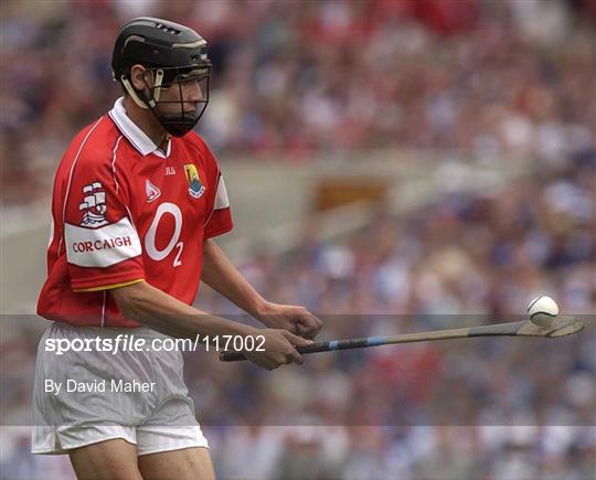 Munster v Celtic Warriors - 125549 - Sportsfile