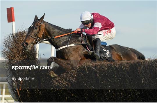 The 2013 Punchestown Festival - Tuesday 23rd April