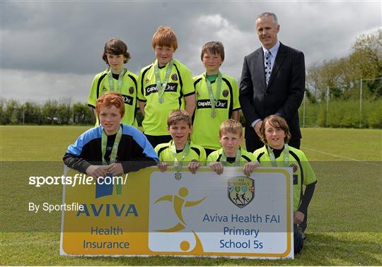 Aviva Health FAI Primary School 5's - Leinster Finals